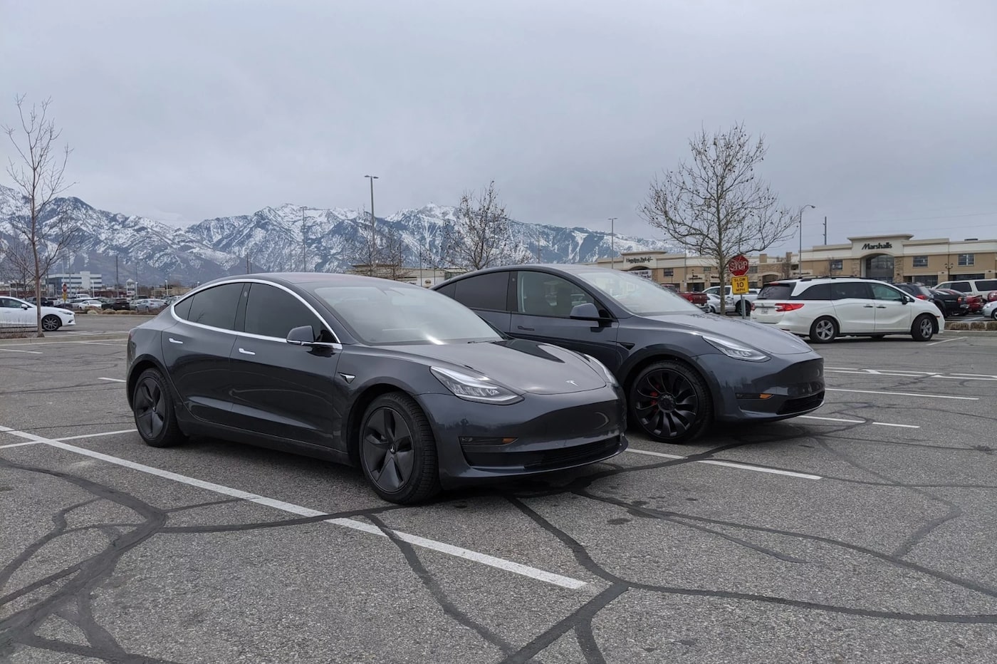 Tesla Model Y comparaison
