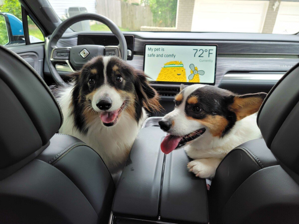 Rivian Pet Mode