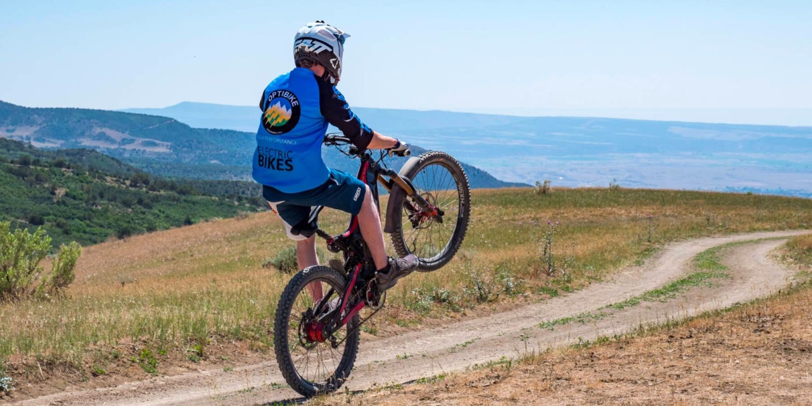 giant bike electric motor