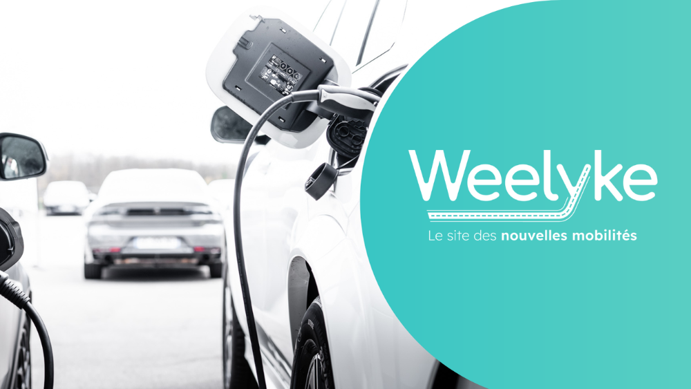 weelyke