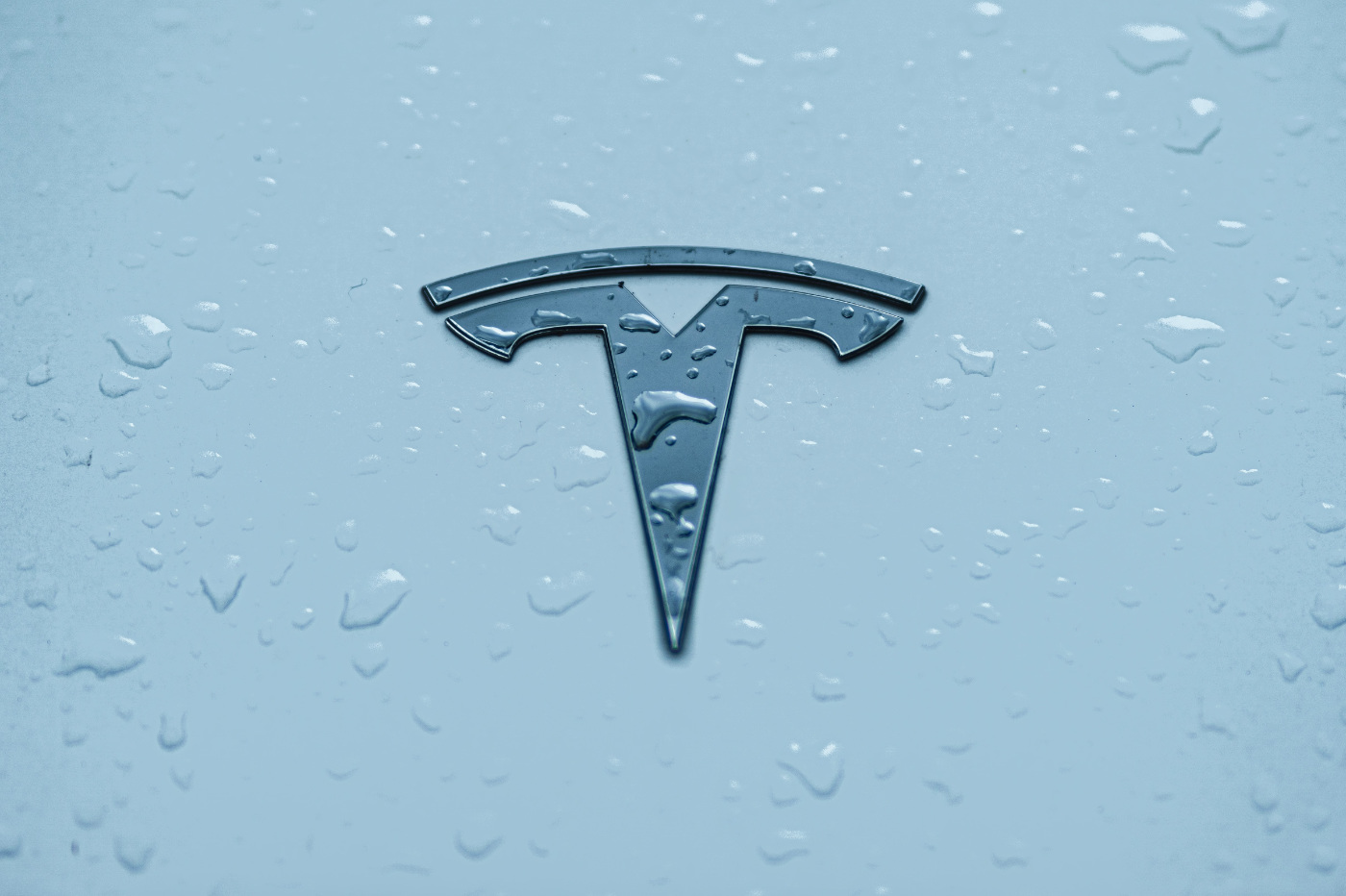 Tesla logo 2022