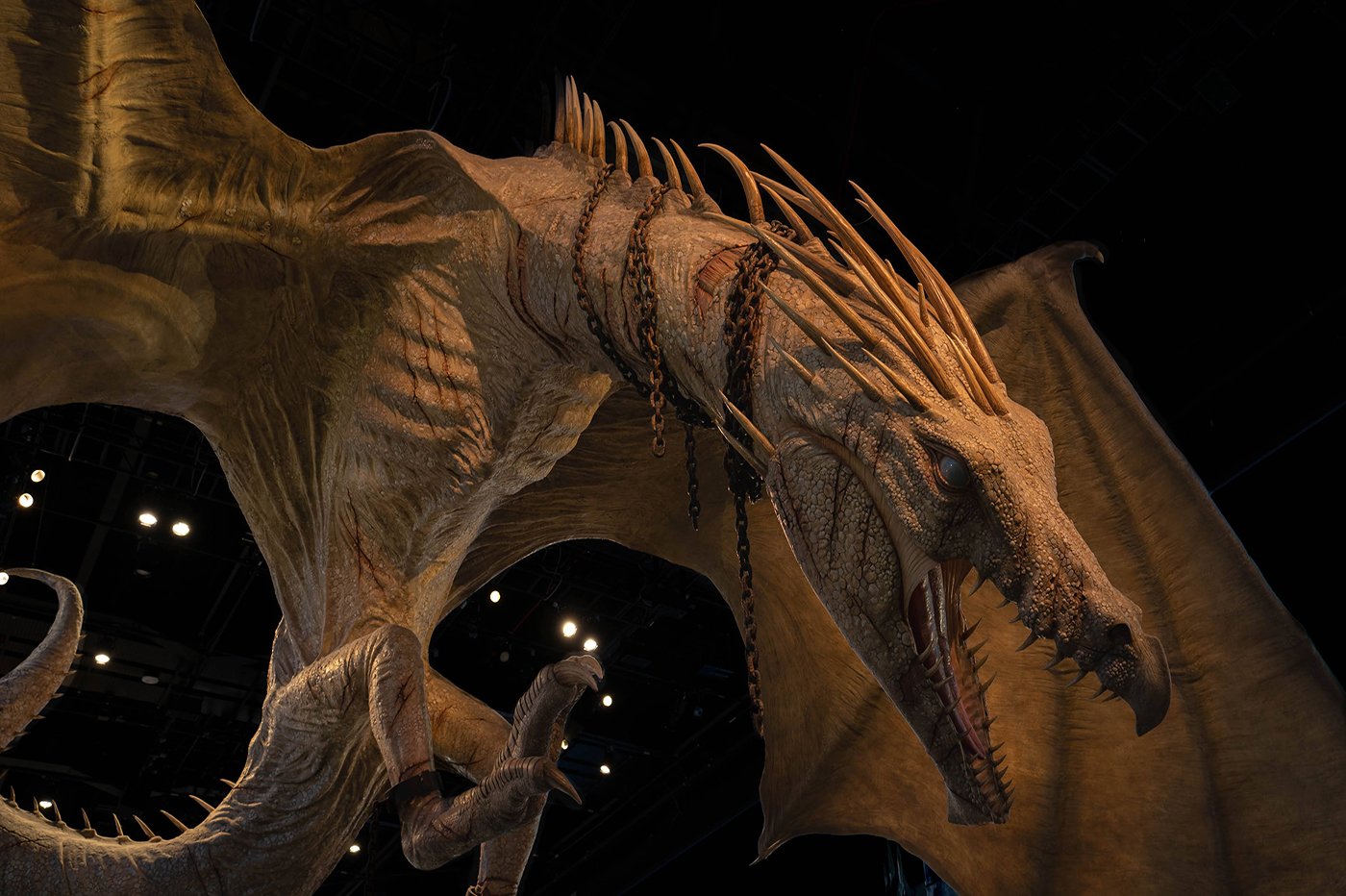 Dragon Harry Potter